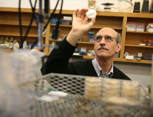 手机号自动轰炸