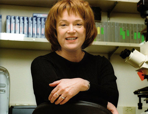 手机号码轰炸app免费